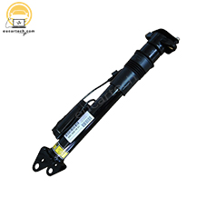 Giảm Xóc (Phuộc Nhún) Phía Sau Dành Cho Xe Mercedes R-Class W251 / V251