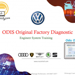 Odis Origianl Factory Diagnostic Firsit book for real special functions ODIS E and ODIS S software