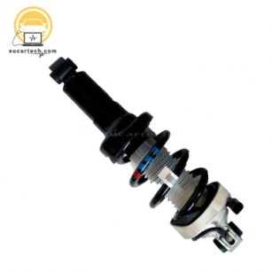 Audi R8 ADS Front Right Shock Absorber